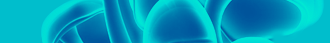 THE FLIPER - 